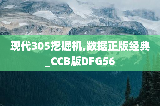 现代305挖掘机,数据正版经典_CCB版DFG56