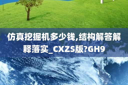 仿真挖掘机多少钱,结构解答解释落实_CXZS版?GH9