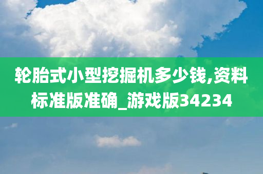 轮胎式小型挖掘机多少钱,资料标准版准确_游戏版34234