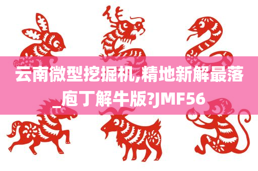 云南微型挖掘机,精地新解最落_庖丁解牛版?JMF56