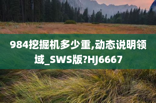 984挖掘机多少重,动态说明领域_SWS版?HJ6667