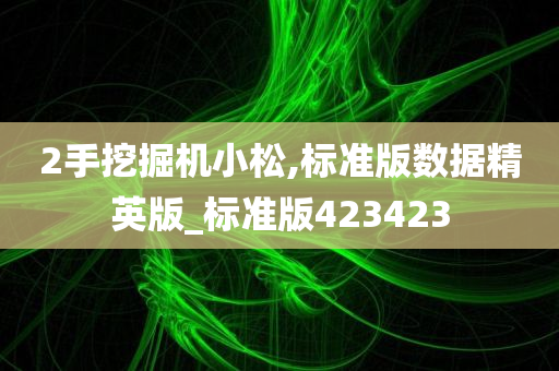 2手挖掘机小松,标准版数据精英版_标准版423423