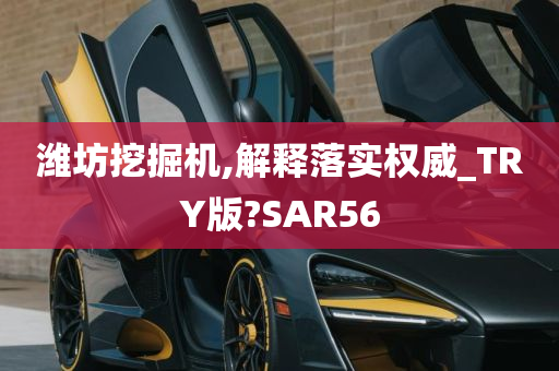 潍坊挖掘机,解释落实权威_TRY版?SAR56