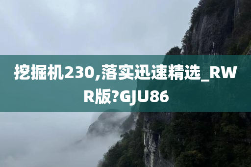 挖掘机230,落实迅速精选_RWR版?GJU86