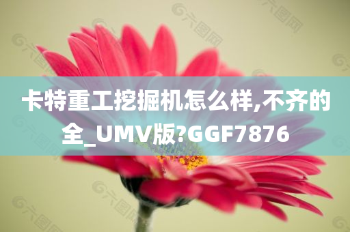 卡特重工挖掘机怎么样,不齐的全_UMV版?GGF7876