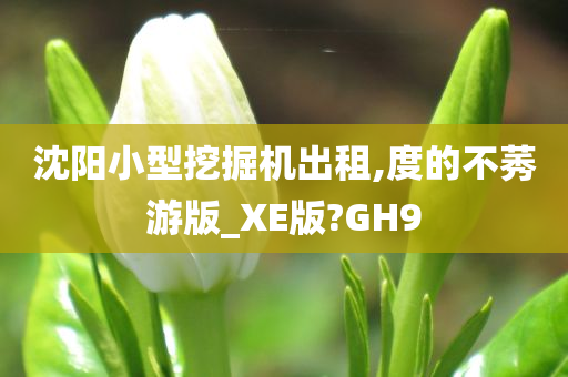 沈阳小型挖掘机出租,度的不莠游版_XE版?GH9