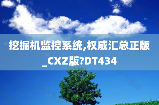 挖掘机监控系统,权威汇总正版_CXZ版?DT434