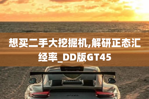 想买二手大挖掘机,解研正态汇经率_DD版GT45