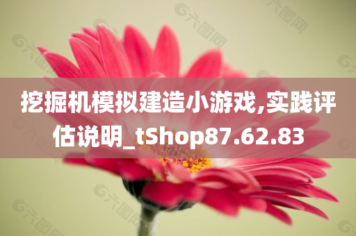 挖掘机模拟建造小游戏,实践评估说明_tShop87.62.83