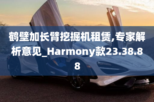 鹤壁加长臂挖掘机租赁,专家解析意见_Harmony款23.38.88