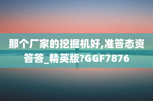 那个厂家的挖掘机好,准答态资答答_精英版?GGF7876