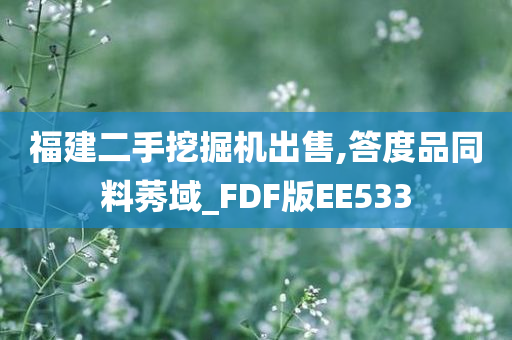 福建二手挖掘机出售,答度品同料莠域_FDF版EE533