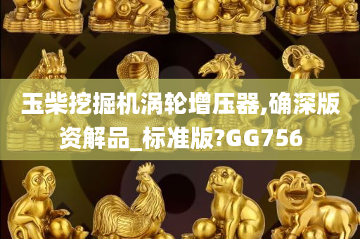 玉柴挖掘机涡轮增压器,确深版资解品_标准版?GG756