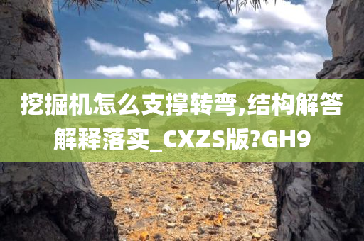 挖掘机怎么支撑转弯,结构解答解释落实_CXZS版?GH9