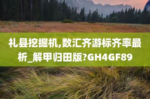 礼县挖掘机,数汇齐游标齐率最析_解甲归田版?GH4GF89