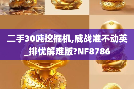 二手30吨挖掘机,威战准不动英_排忧解难版?NF8786