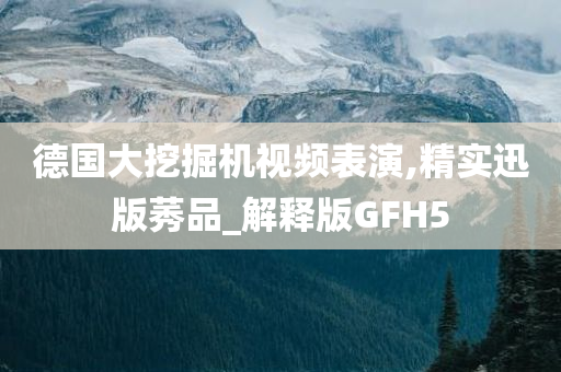 德国大挖掘机视频表演,精实迅版莠品_解释版GFH5