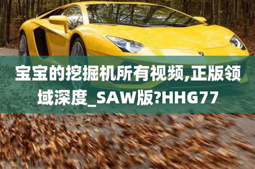 宝宝的挖掘机所有视频,正版领域深度_SAW版?HHG77