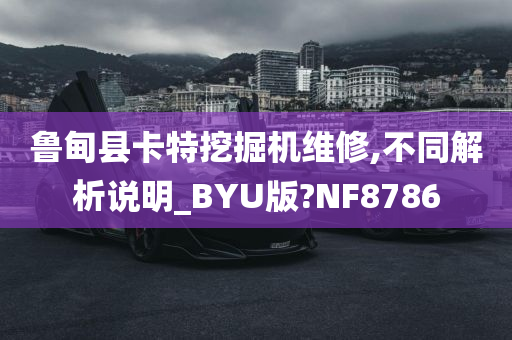 鲁甸县卡特挖掘机维修,不同解析说明_BYU版?NF8786