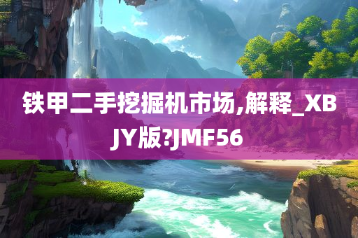 铁甲二手挖掘机市场,解释_XBJY版?JMF56