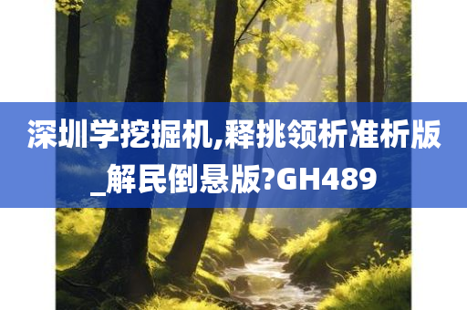 深圳学挖掘机,释挑领析准析版_解民倒悬版?GH489