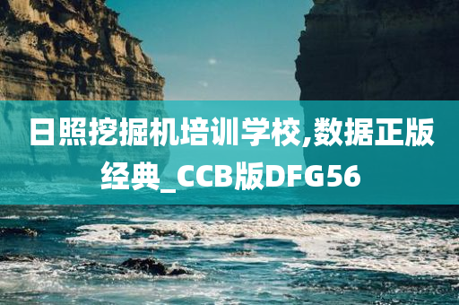 日照挖掘机培训学校,数据正版经典_CCB版DFG56