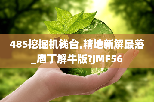 485挖掘机钱台,精地新解最落_庖丁解牛版?JMF56