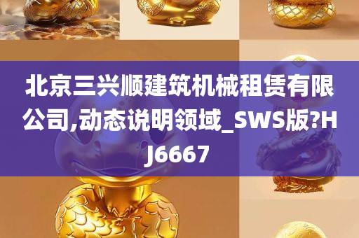 北京三兴顺建筑机械租赁有限公司,动态说明领域_SWS版?HJ6667