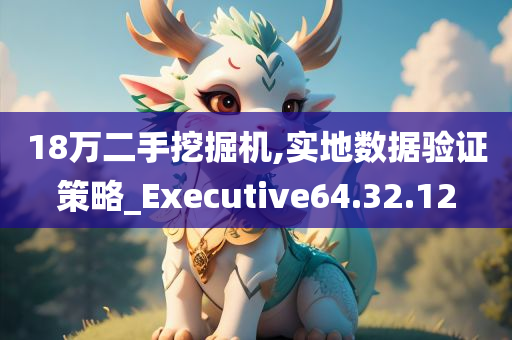 18万二手挖掘机,实地数据验证策略_Executive64.32.12