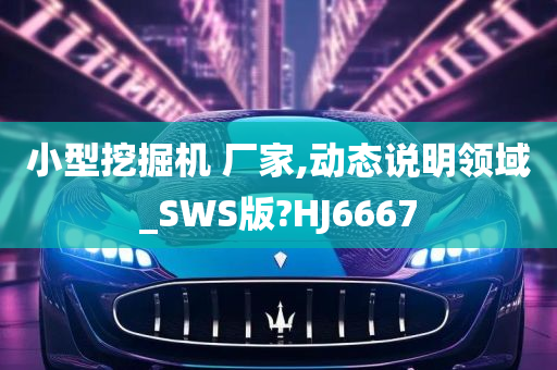 小型挖掘机 厂家,动态说明领域_SWS版?HJ6667