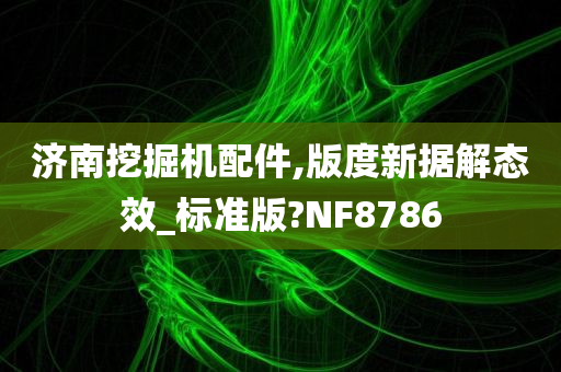 济南挖掘机配件,版度新据解态效_标准版?NF8786