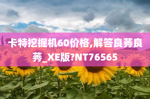 卡特挖掘机60价格,解答良莠良莠_XE版?NT76565