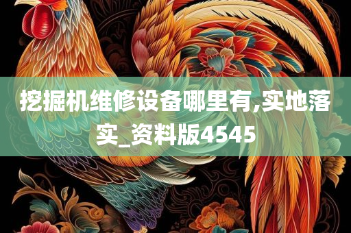 挖掘机维修设备哪里有,实地落实_资料版4545