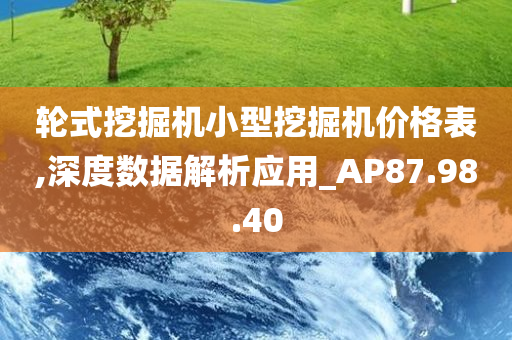 轮式挖掘机小型挖掘机价格表,深度数据解析应用_AP87.98.40