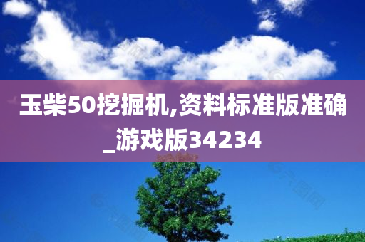 玉柴50挖掘机,资料标准版准确_游戏版34234