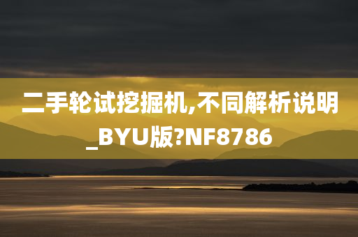 二手轮试挖掘机,不同解析说明_BYU版?NF8786