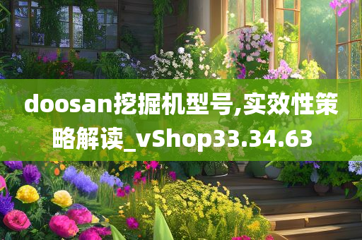 doosan挖掘机型号,实效性策略解读_vShop33.34.63