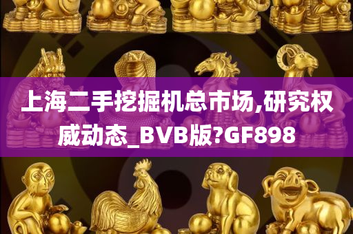 上海二手挖掘机总市场,研究权威动态_BVB版?GF898