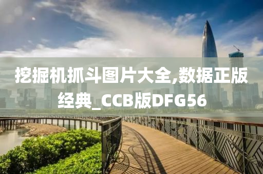 挖掘机抓斗图片大全,数据正版经典_CCB版DFG56