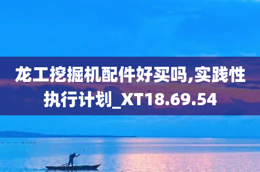 龙工挖掘机配件好买吗,实践性执行计划_XT18.69.54