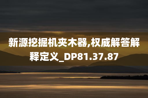 新源挖掘机夹木器,权威解答解释定义_DP81.37.87