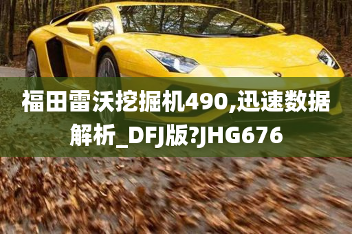 福田雷沃挖掘机490,迅速数据解析_DFJ版?JHG676