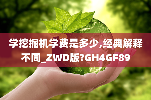 学挖掘机学费是多少,经典解释不同_ZWD版?GH4GF89