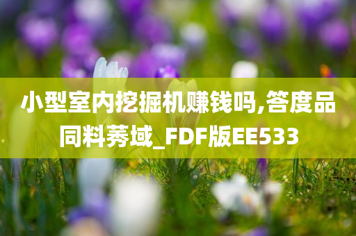 小型室内挖掘机赚钱吗,答度品同料莠域_FDF版EE533