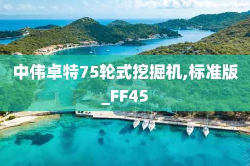 中伟卓特75轮式挖掘机,标准版_FF45