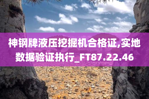 神钢牌液压挖掘机合格证,实地数据验证执行_FT87.22.46