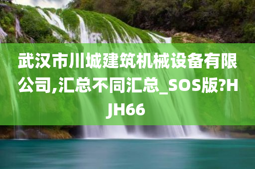 武汉市川城建筑机械设备有限公司,汇总不同汇总_SOS版?HJH66