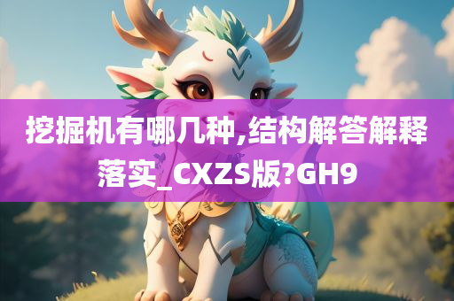 挖掘机有哪几种,结构解答解释落实_CXZS版?GH9