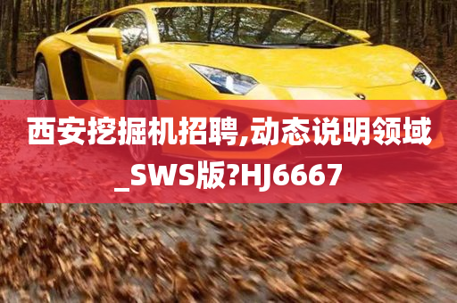 西安挖掘机招聘,动态说明领域_SWS版?HJ6667