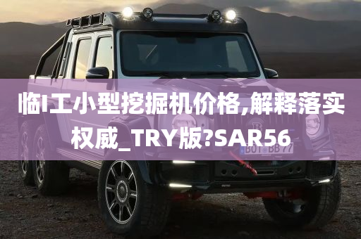 临I工小型挖掘机价格,解释落实权威_TRY版?SAR56